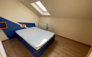 Casă calcan, Curte,  grădină, Iris!! - Poză 12