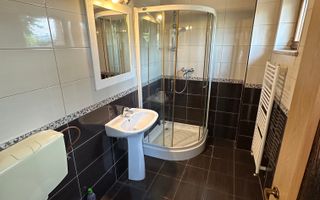 Proprietate cu piscina Dumbravita - Poză 20