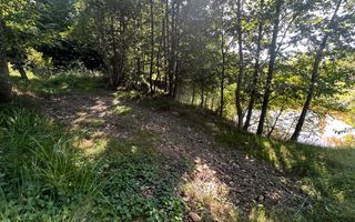 Teren 15 Ari | Cu Iaz & Terasat | Drumul Principal | 40.000 € - Poză 3