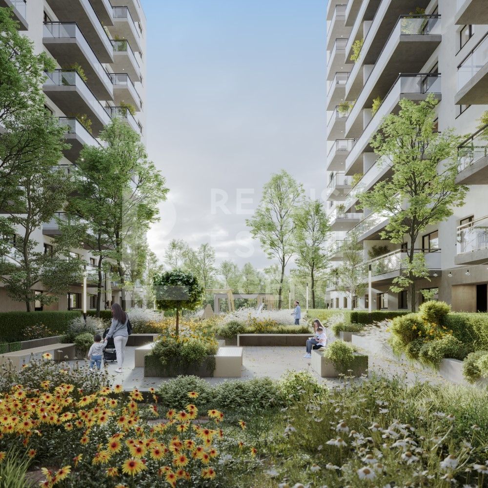 Hils Republica - Poză 3