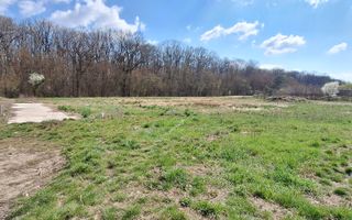 Teren duplex Dumbravita- Padurea Verde - Poză 1