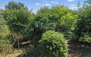 Casa in mediu rural cu teren - Poză 18