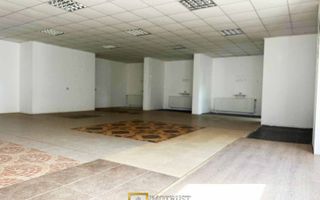 Hala industriala de inchiriat – Arad, Strada Padurii - Poză 8