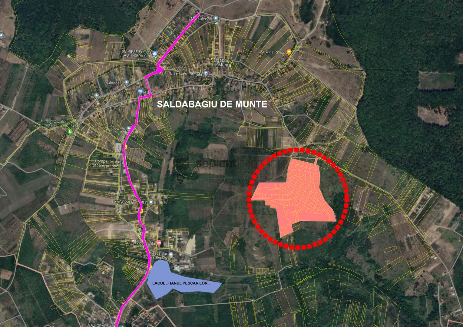Sapient | 174 de parcele cu PUZ aprobat - Schiță 5