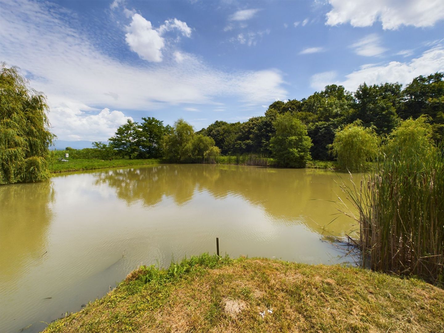 Moară istorică cu teren și luciu de apă în Aldești - Poză 4