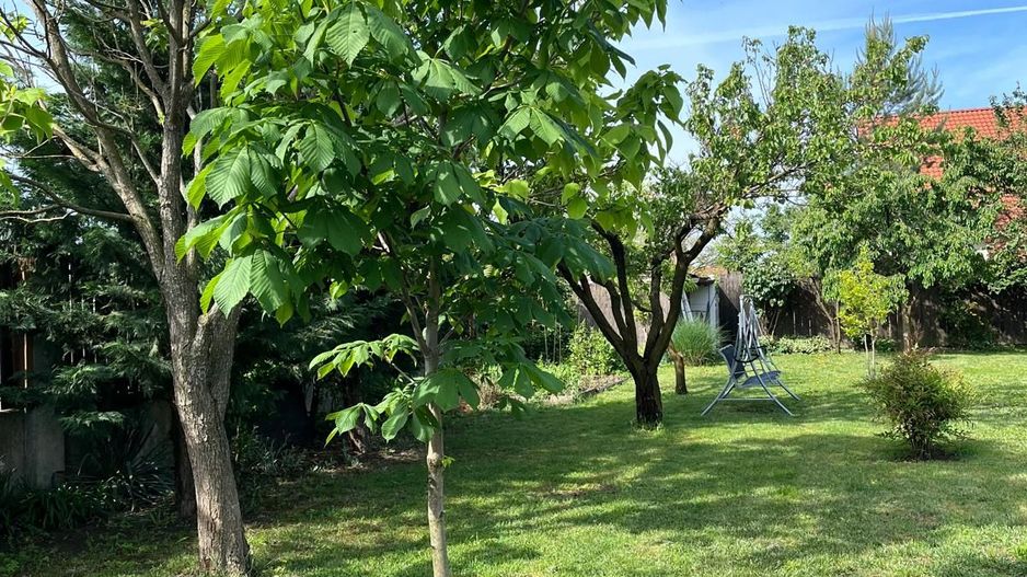 Casă elegantă, spațioasă, ideală pentru familie – Sanmihaiu Roman - Poză 31