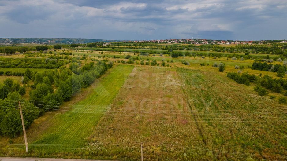 Vânzare, teren, 50 ari, str. Tineretului, Trușeni - Poză 6