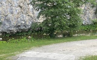 Teren pentru investiție turistică în Dâmbovicioara – Baranga | 4.500 mp | Front ~102 ml - Poză 13
