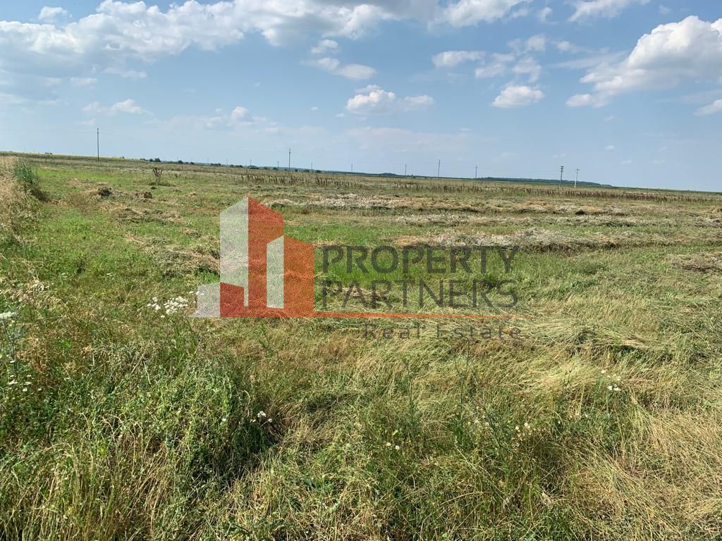 Teren pentru investitii rezidentiale, Moara Vlasiei, Caciulati, A3 - Poză 1