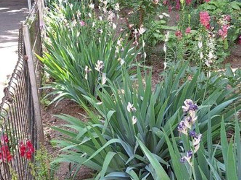 Apartament cu o camera, renovat, mobilat si utilat - Micro 39 - Poză 11