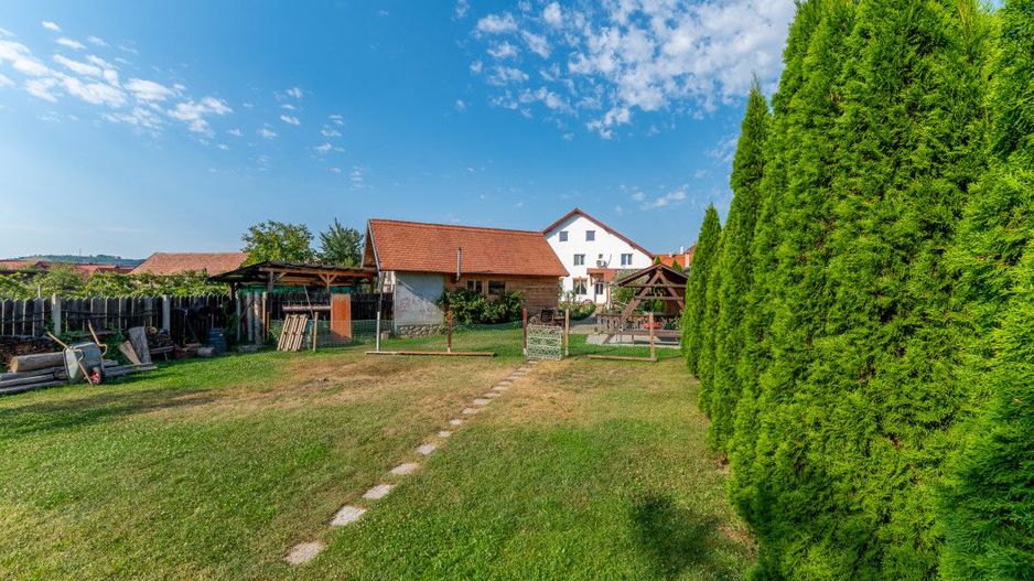 Casa + Pensiune deosebita - Orlat, Sibiu - Poză 62