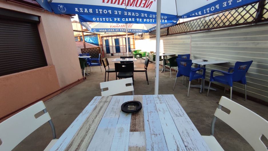 Camil Ressu- Ramnicu Sarat-adiacent- Fizicienilor curte+piscina - Poză 22