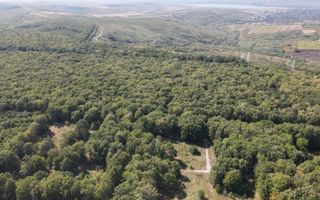 Vânzare, teren pentru construcție, 9.21 ha, Micăuți, Sireț - Poză 7