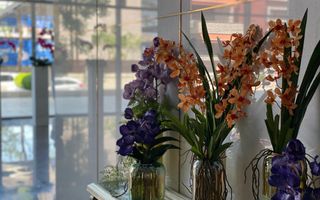 Apartament 3 camere Floreasca - vedere spre Lac - Poză 6