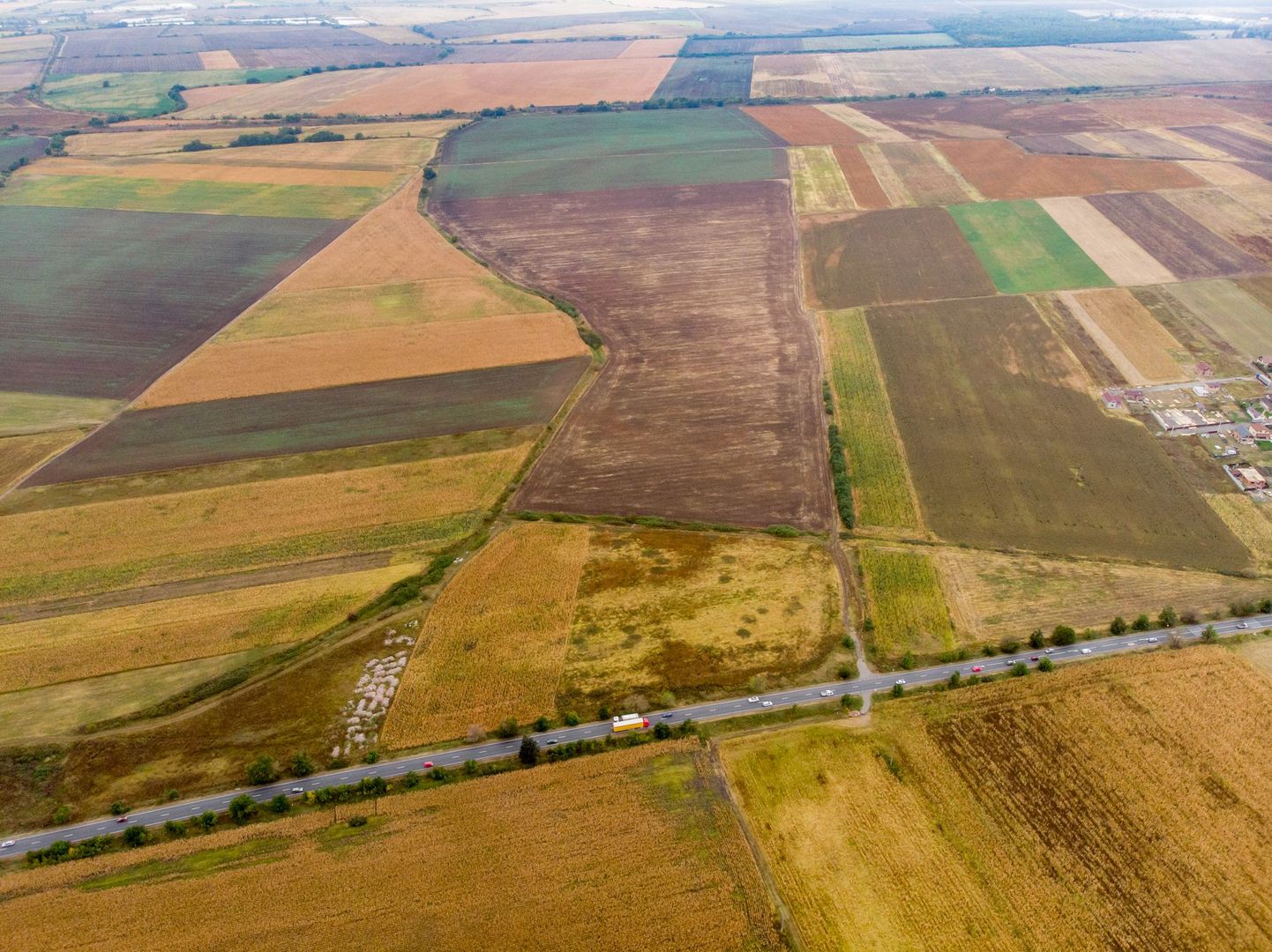 Teren de 19798mp în Zimandu Nou - Poză 3
