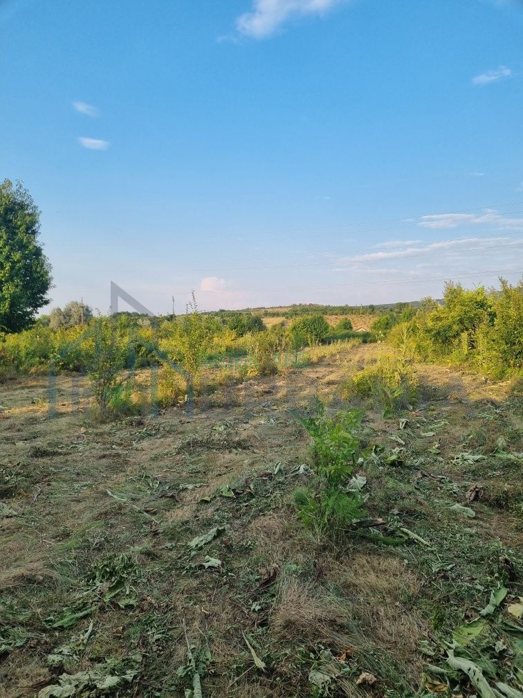 Teren intravilan 4.000 mp în sat Curături, comuna Ciurea - Poză 2