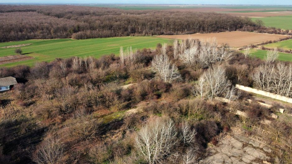 Ferma si livada de meri in judetul Ilfov - Poză 14