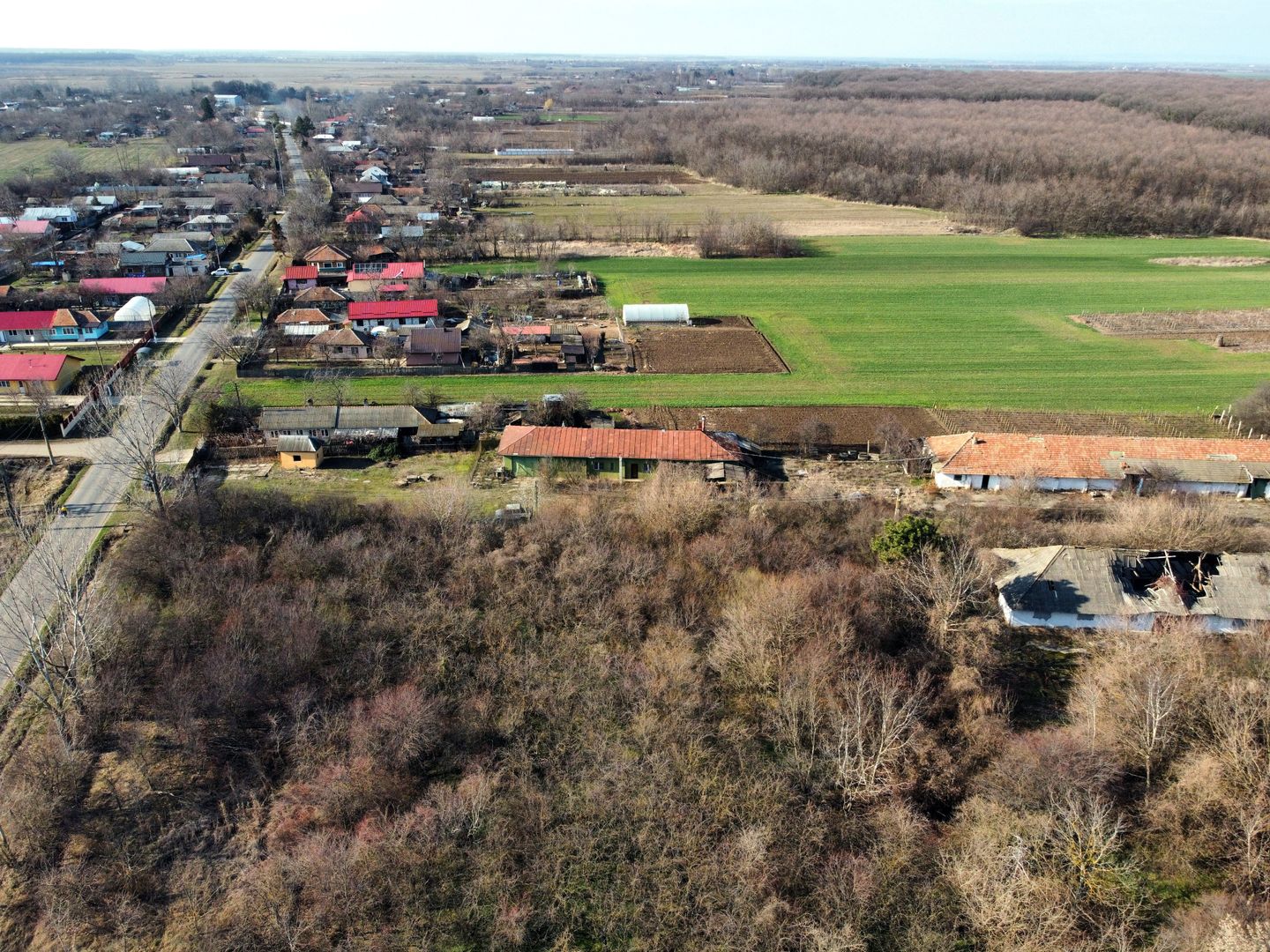 Ferma si livada de meri in judetul Ilfov - Poză 24
