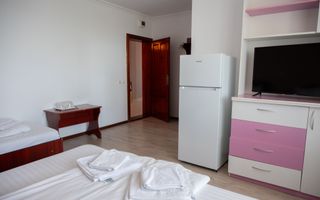 Afacere la Cheie în Turism | Pensiune  în Sânmartin - Poză 19