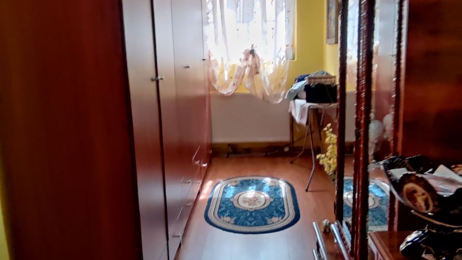 CASA INDIVIDUALA SI HALA CU TEREN  4000 MP - Poză 12