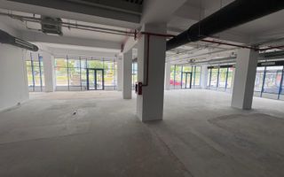 Spatiu comercial, 800mp, Podu Ros - Poză 1