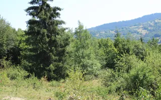 Poiana Sohodol I 5600 MP I Trei corpuri cladiri I Utilitati - Poză 58