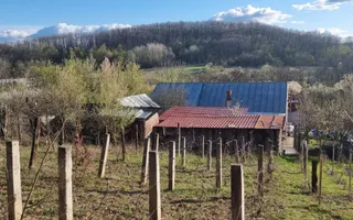 Casă P+M cu 1.558 mp teren, livadă și garaj | Barza, Gorj Comision 0%  - Poză 15