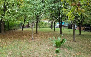 Proprietate individuala-3 apartamente,spatiu comercial,garaje,gradina,curte - Poză 9