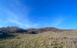 Teren | Copacelu | 5000 mp | Pretabil cartier rezidential - Poză 4