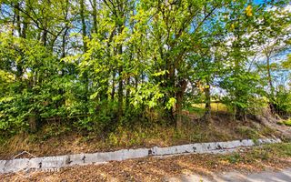 Teren intravilan, 1260 mp, localitate Ususau - Poză 3