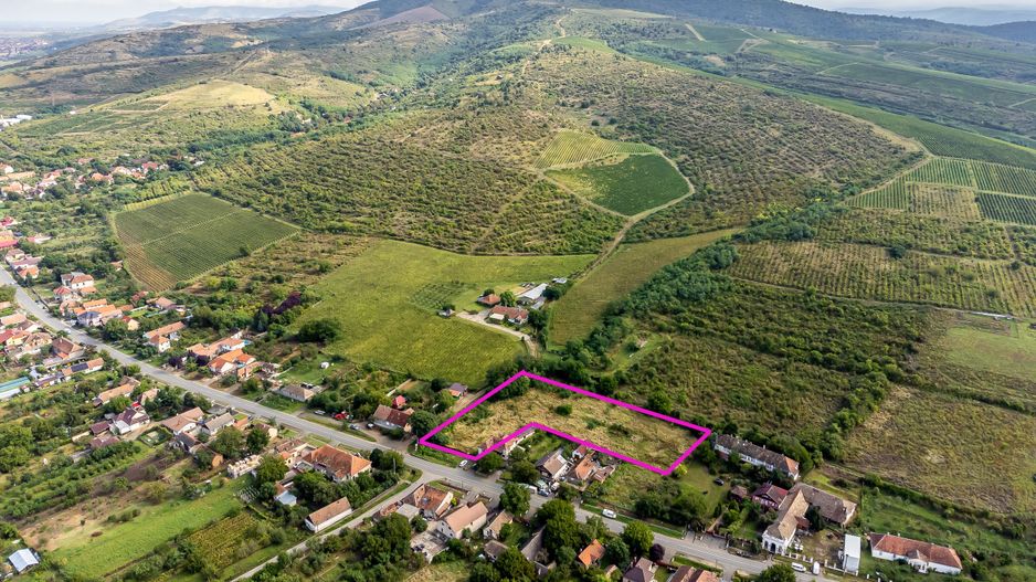 Teren de vis în Ghioroc! Stațiunea supranumită ”Litoralul Vestului” - Poză 3