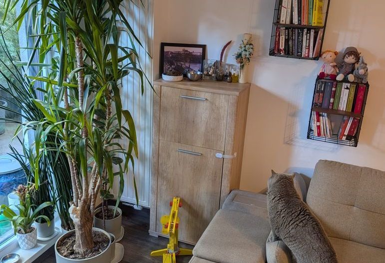 Apartament, 64 m², - Poză 9