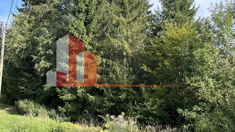 Teren generos de 8.267 mp în Predeal, Strada Nicolae Bălcescu. - Poză 5