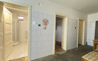 Casă 7 camere cu Teren 4.620 mp | Potențial pentru rezidență sau afacere | Carei - Poză 15