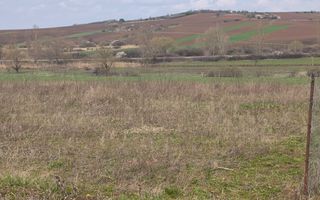 TEREN INTRAVILAN DE VANZARE PALEU - Poză 6