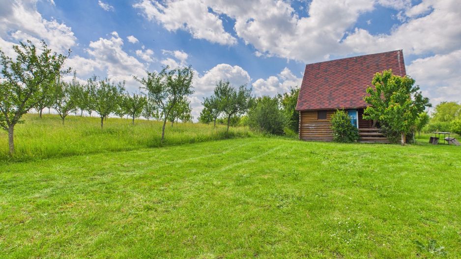 Teren cu baltă- oportunități multiple la Fibiș - Poză 35