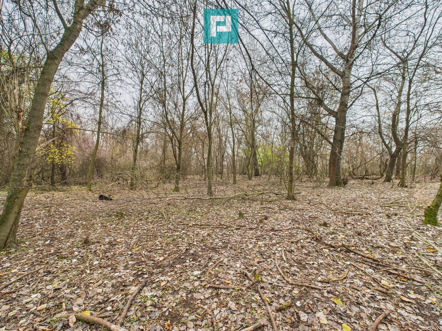 Teren spectaculos la  Periam Port - Poză 30