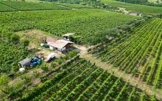 Vie Tradițională „Halta Lupilor” - Poză 49