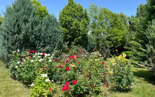 Vilă de lux mobilata/utilata cu terasa+foisor, garaj,gradina si livada - Poză 16
