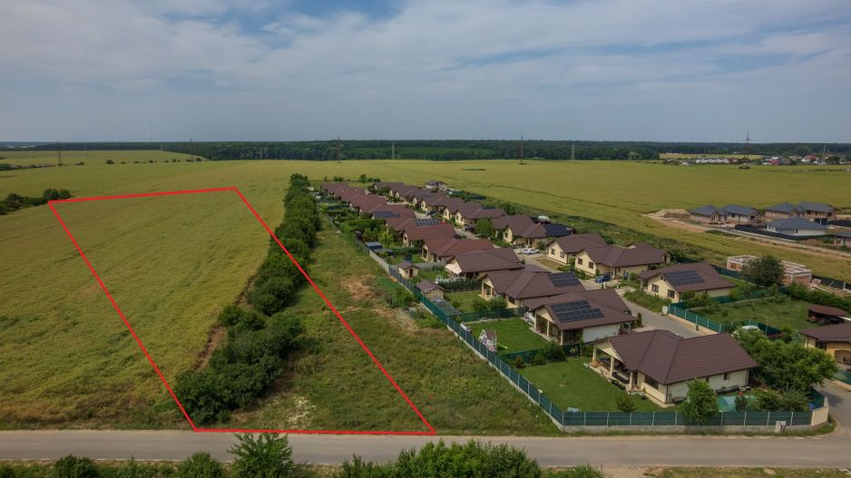 Teren intravilan, Balotești, Strada Cameliei 36, 10.000 mp - Poză 1