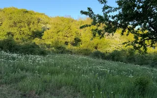 ⭐  Teren de 2.700 mp cu front generos – Ocazie în Oncea - Poză 19