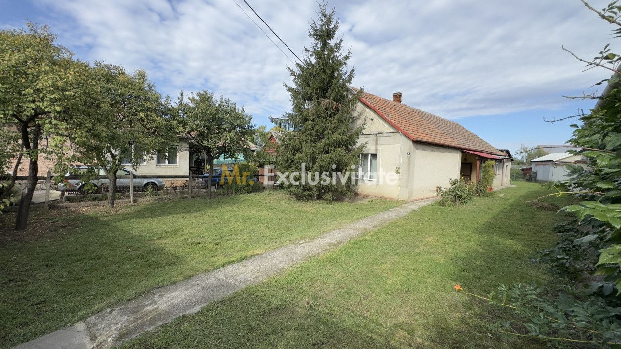 Casă 3 camere, Teren 3.263 mp, Str.Mărășești Nr.16 -Carei-Comision 0% cumpărător - Poză 1