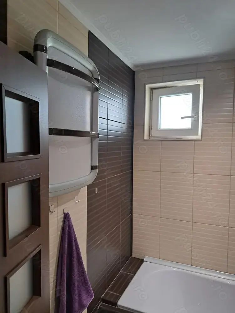 Apartament Fabrica de Gheata/Lacul Plumbuita - Poză 5