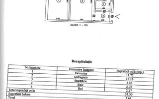 2 Camere-Renovat-Alexandru cel Bun - Poză 11