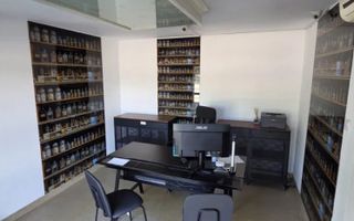 Spatiu Comercial, Podu Ros, 51mp, 750euro - Poză 2