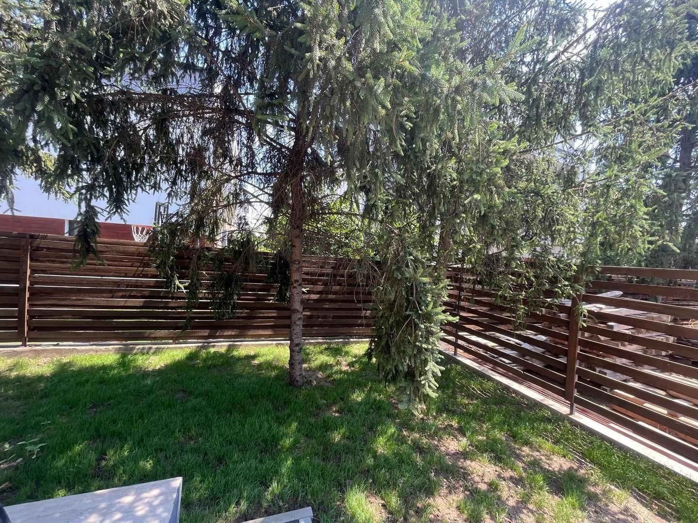 Vilă individuală modernă, P+1+M, cu curte generoasă  Tunari - Poză 6
