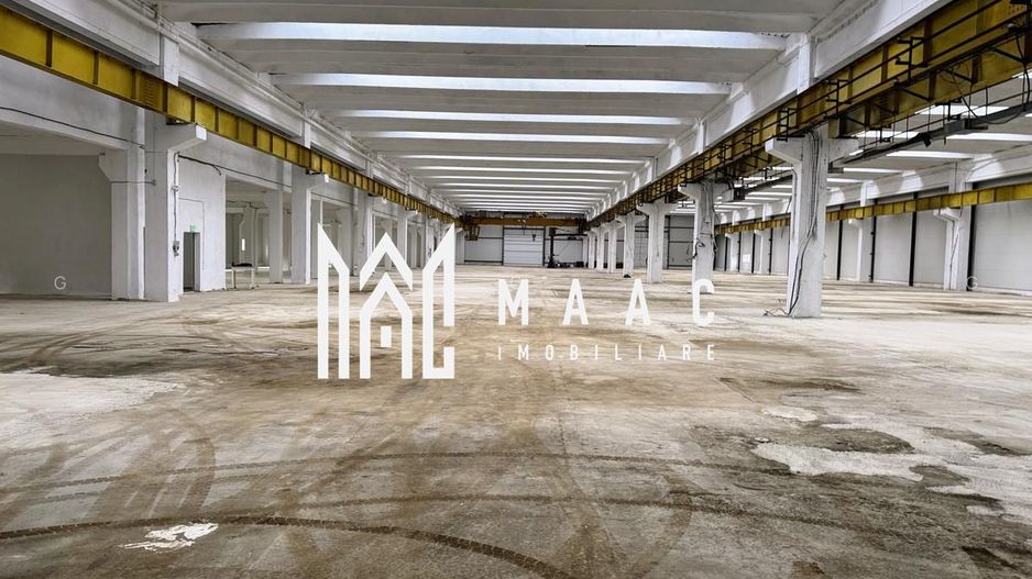 Hala producție I 6857 mp I Acces TIR I Pod Rulant I Mârșa - Poză 3