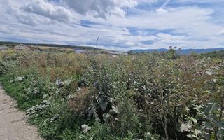 Teren de vânzare cu autorizație ! - Poză 3