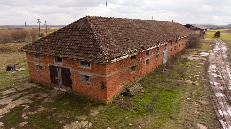 Fermă cu teren intravilan de 35000 mp în Mișca - Poză 27