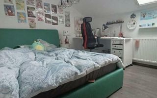 Apartament 6 camere - Triplex - Calea Calarasilor - Poză 3